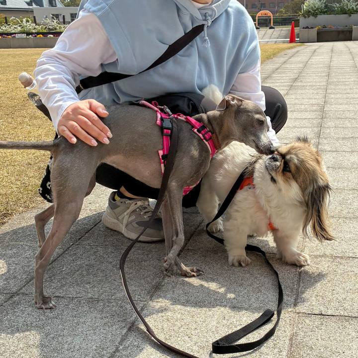 7fbe9785 6dc1 4846 8a18 e2b9d79d55de 1776430197831