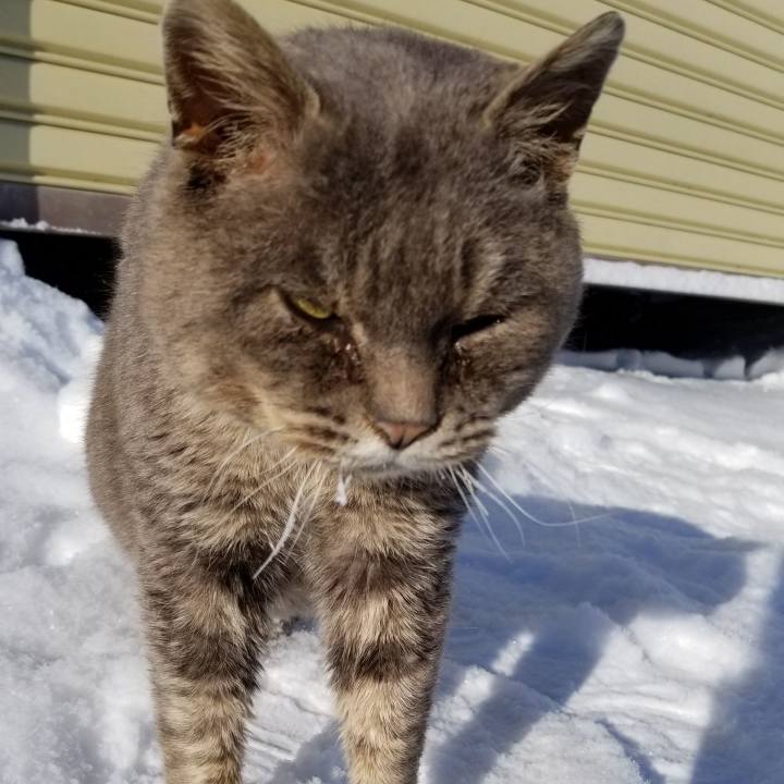 7fbea5d7 f826 42fa b2cb 2763a005a0a2 1548852158343