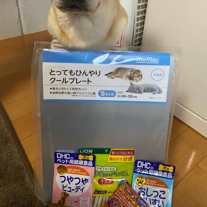 7fbeb31b 47ca 4eb5 846b 60430b9e7d97 1619522448024