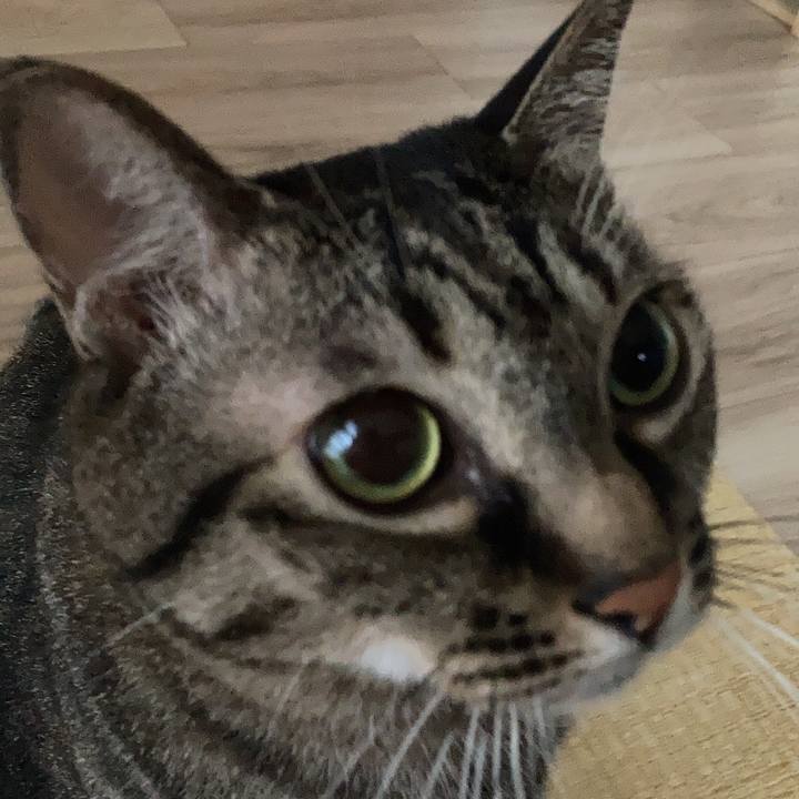 7fbecc70 7c5b 431d b92e 1b6a83121039 1633599441382