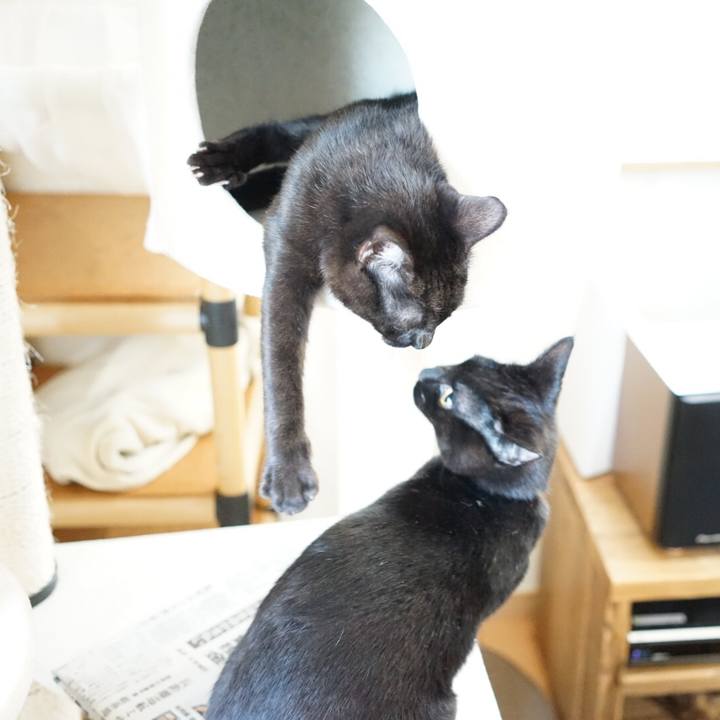 7fbed3a0 1a24 4210 9d61 3f75ed9e105b 1512689937030