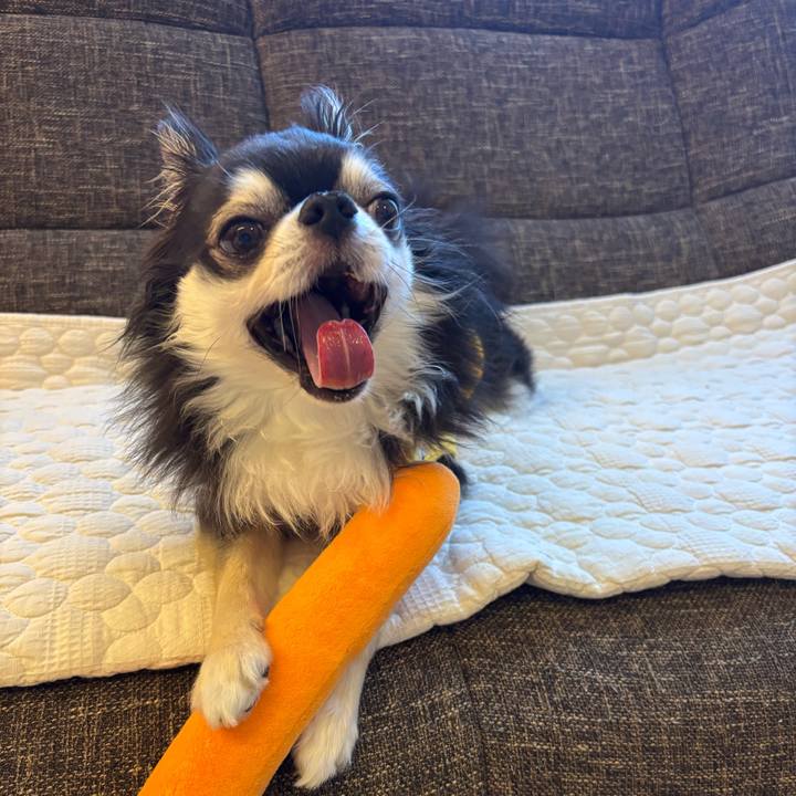 7fbed6c6 53e5 48bc add2 846131c7f98a 1746291671493