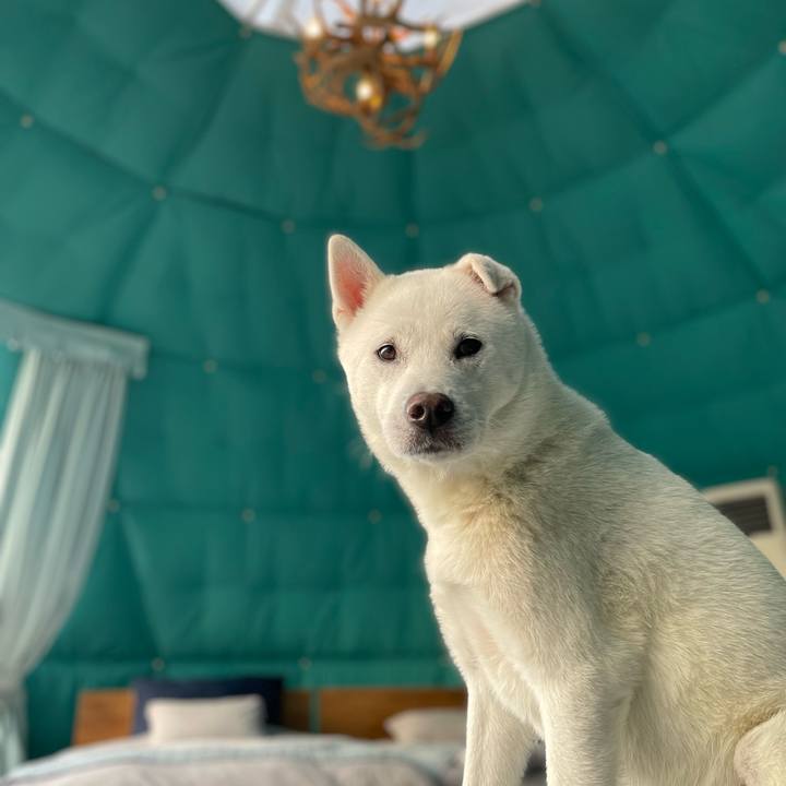 7fbeff6f 40df 49a4 a30e 65fd49858c6c 1737862663279