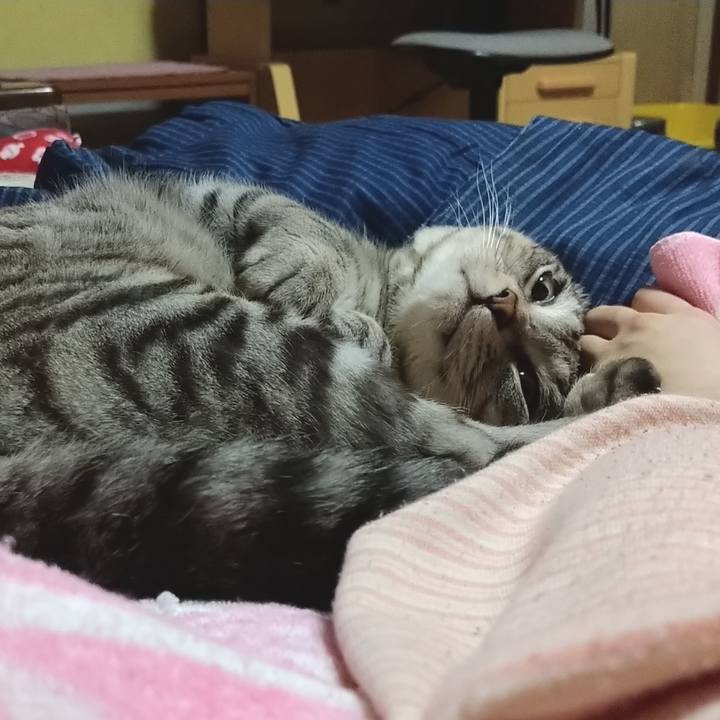 7fbf0456 90ff 458b 8ece e54826cc9703 1582722986010