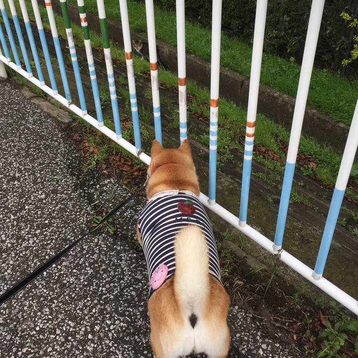 7fbf23f8 ffdc 4f65 9d82 ccb80ceede6c 1613218092702