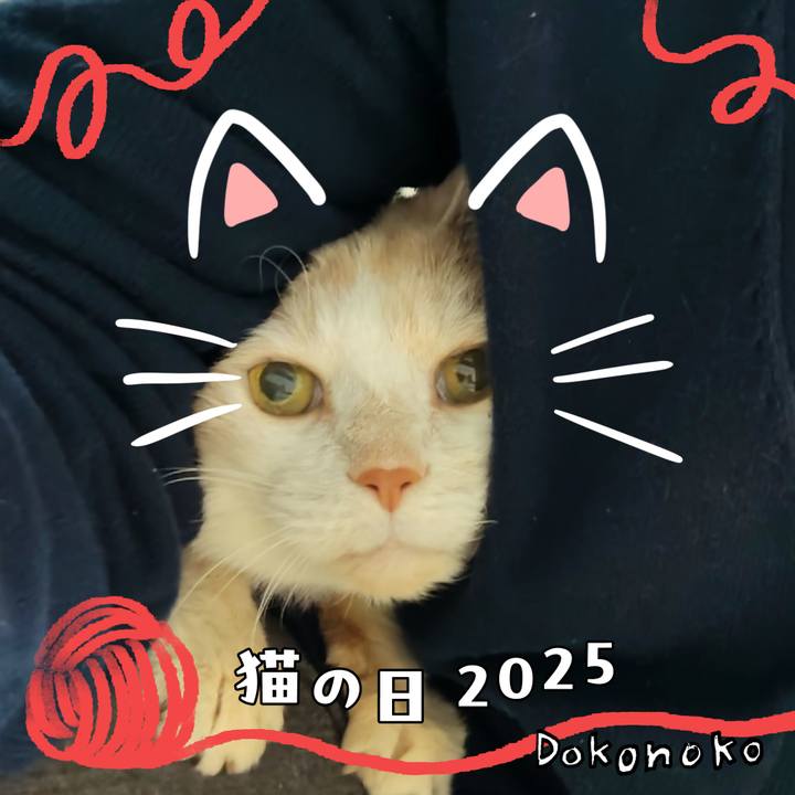 7fbf4dfa 36af 45d3 9f75 29bc14e63615 1740122512942