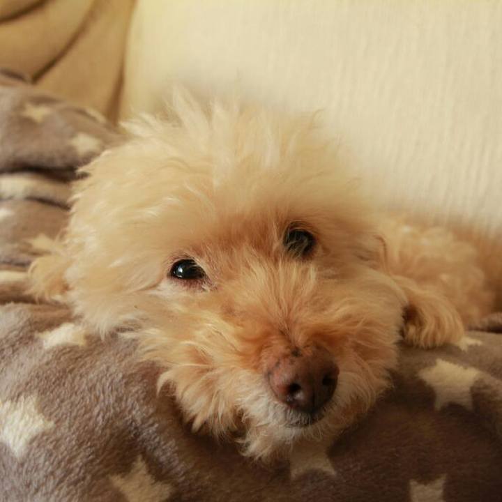 7fbf5ba1 4eb0 4d5c 948e 50910d2feba8 1581375501859