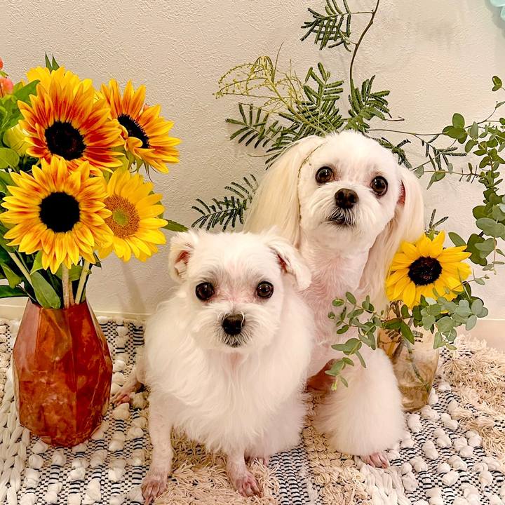 7fbf6a69 b08f 4a6f bea5 16e0dea559b6 1692604244960