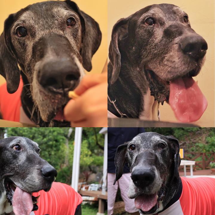 7fbf84ac b427 443f ab3f 198ad6065900 1628767508624