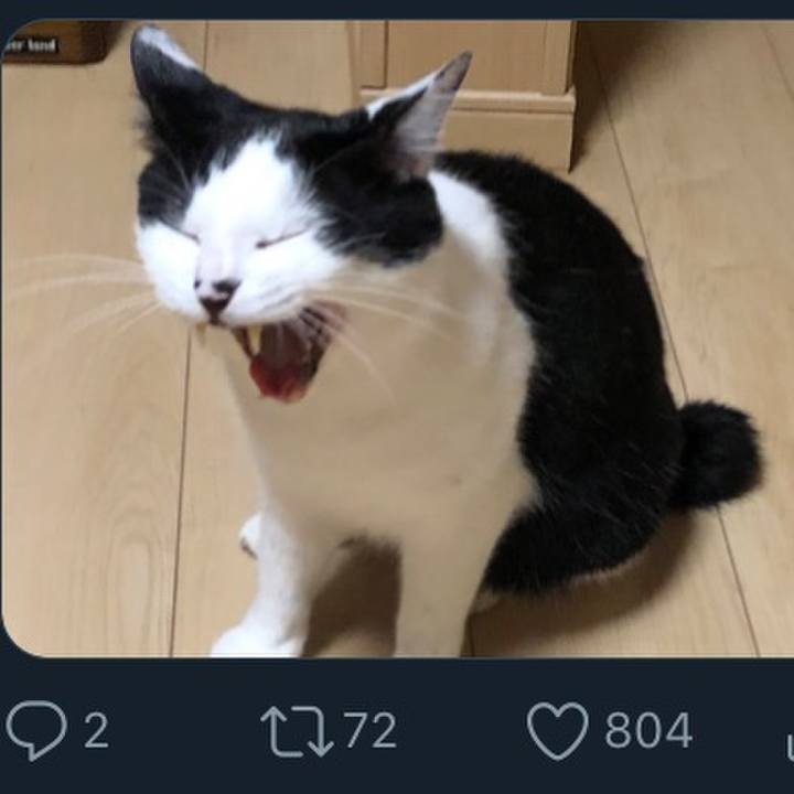 7fbf84c9 12d4 449e 97bf b88caf979757 1591533930094