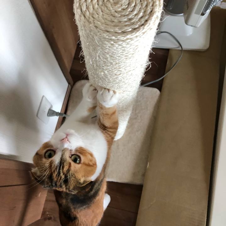 7fbfbab4 9af3 4c24 81c9 44a30d9e1add 1524276308109