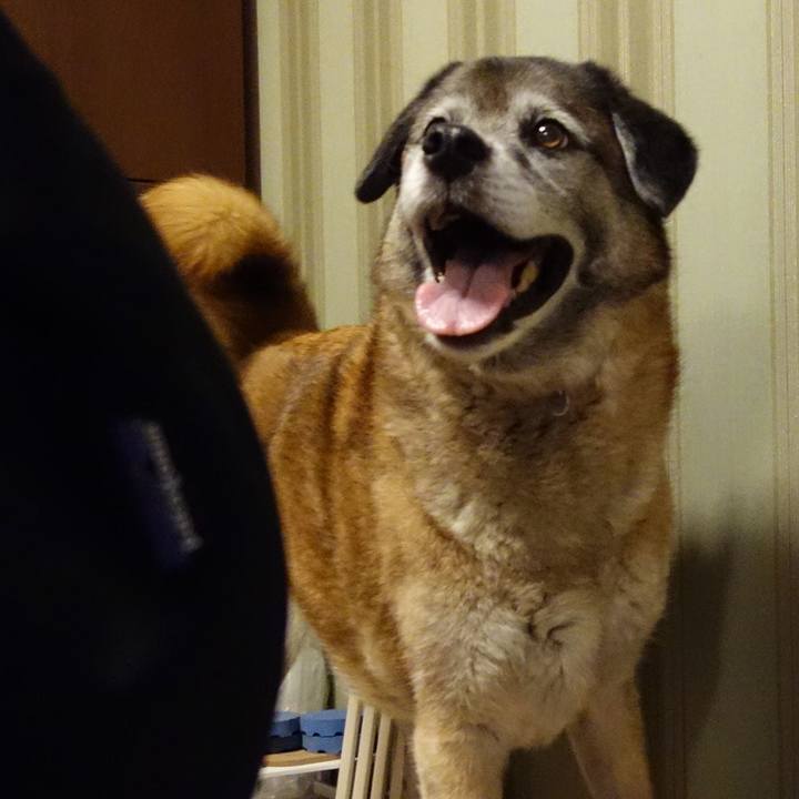 7fbff821 b0b1 4e6d 9c30 4a1459a9e594 1672914523125