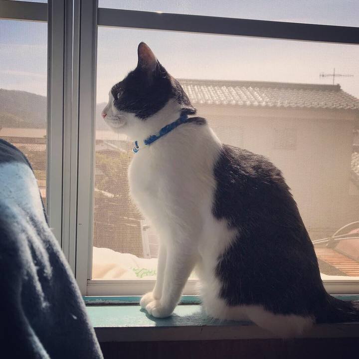 7fbff97e 957e 422e a4d9 7fcd5f21e251 1553212968715