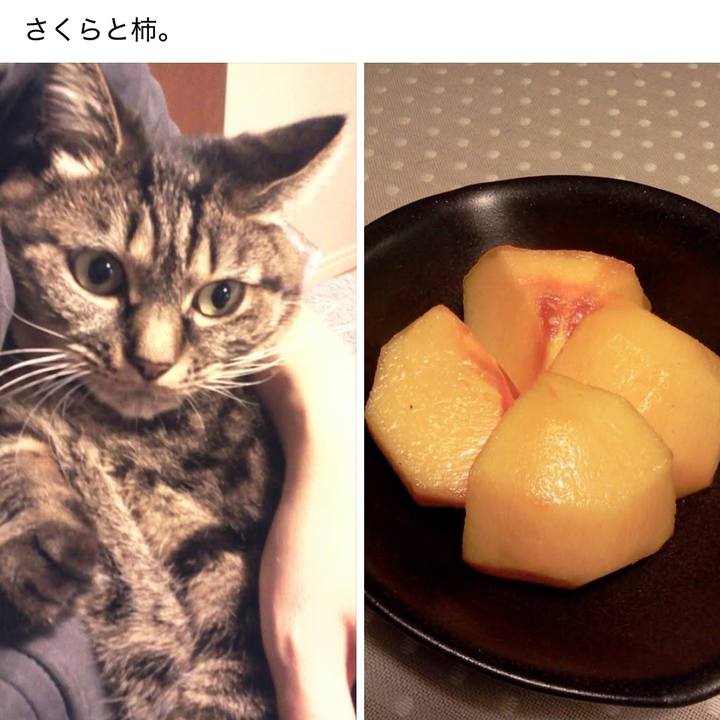 7fc07d01 4291 4921 92fc 7906171d9673 1761350940859