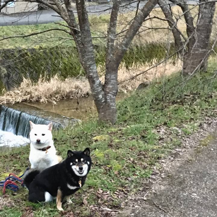 7fc08baa 3e40 47bd a526 3317e1398019 1547716285502