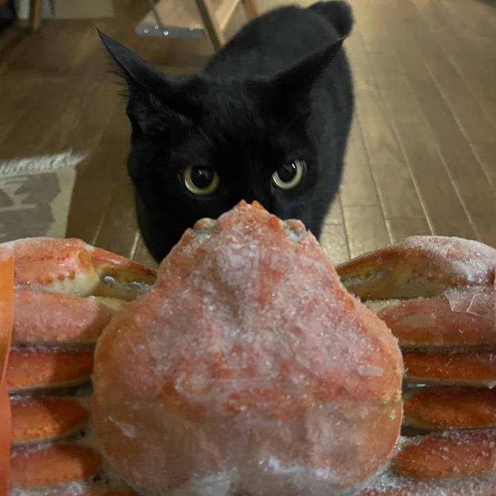 7fc0c5ea ca44 47ad b2d0 7fe5f8528642 1768135931125