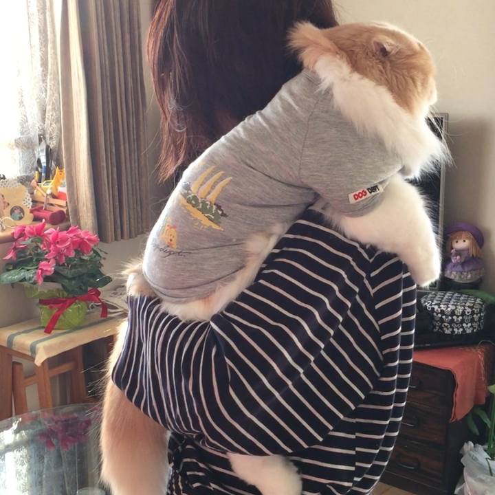 7fc0cd17 3114 41a7 8b66 2ec724ff812d 1549186635792