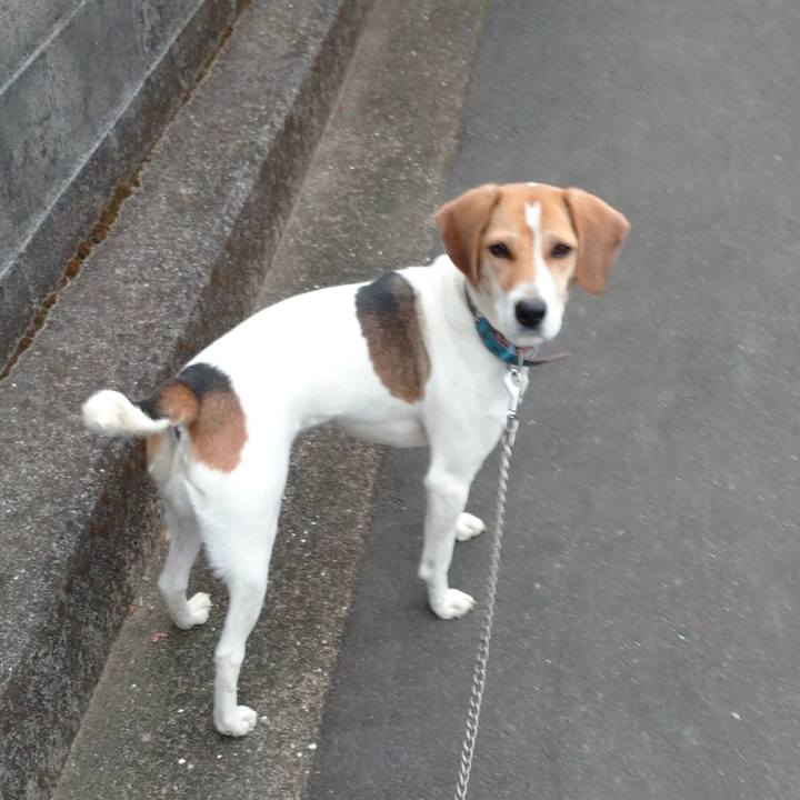 7fc0e191 2b26 4983 a687 216e541cb6db 1607605787918