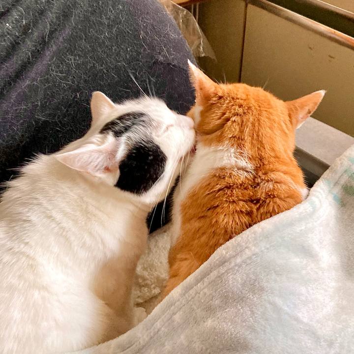 7fc0ebad bb71 4f80 9e12 c2de14aa4949 1668130938561