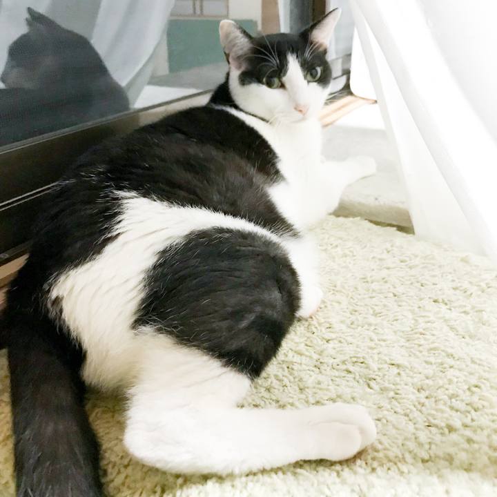 7fc102e5 ca7a 4a10 9301 56b87bc86682 1532910958140