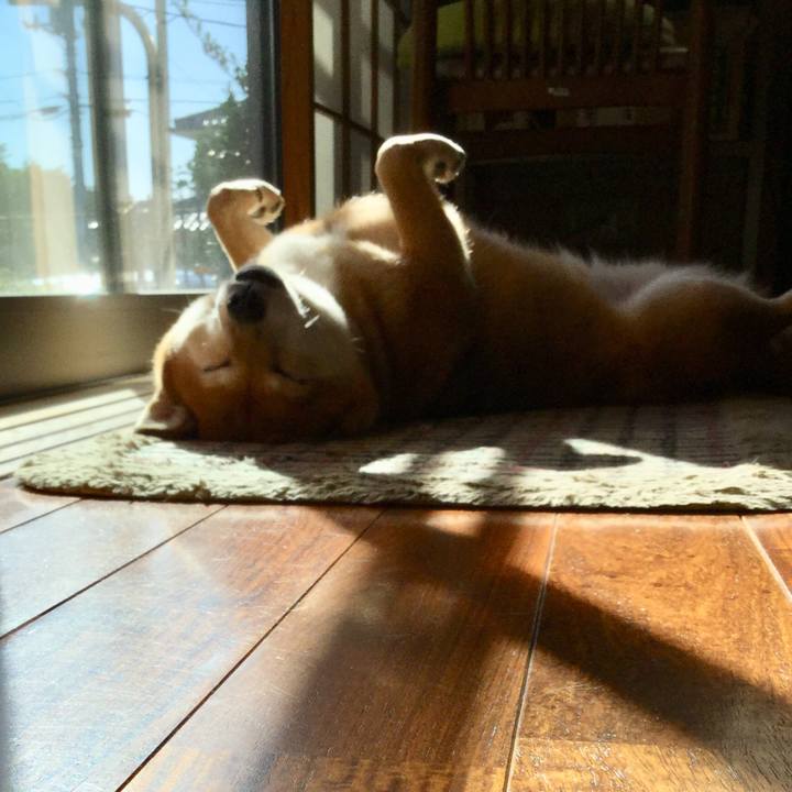 7fc102ed 5cf8 483e a9e3 f605684b360d 1573020071913