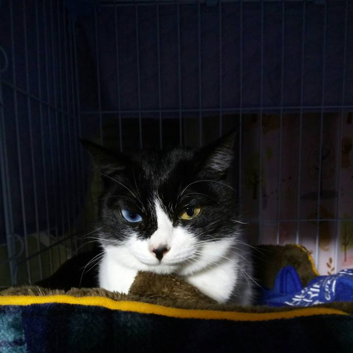 7fc12266 b83a 4c69 8d60 0fc72393011f 1516800678398