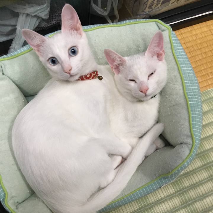 7fc14dbd 6e02 463d 8d3b 299422eab89f 1569157534428