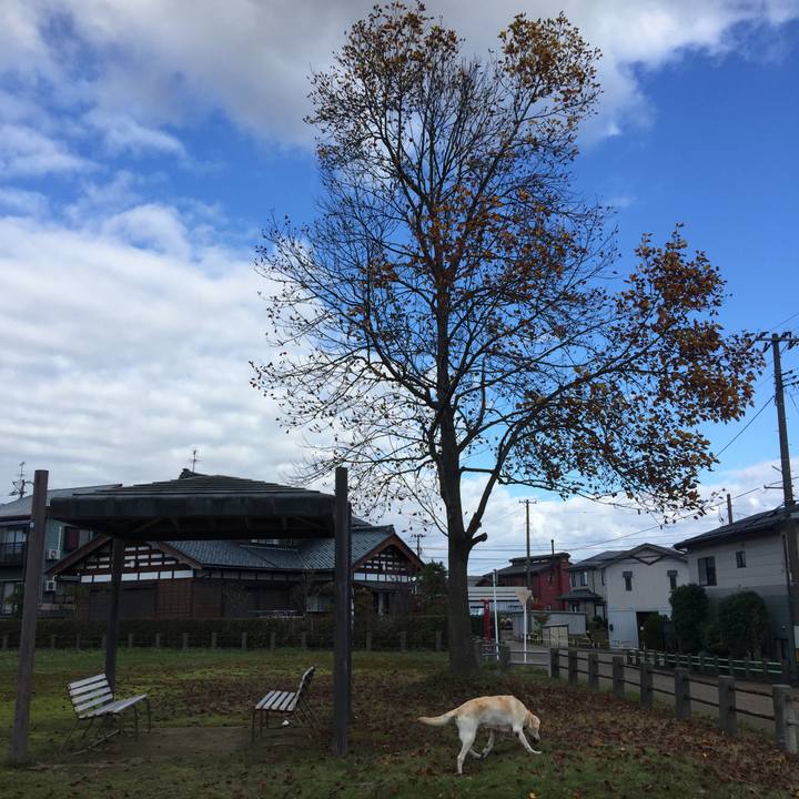 7fc150c0 d4ef 4bf5 a31f d49389ac2728 1542188513147