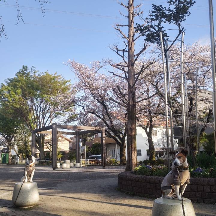 7fc15f8a cd9f 4fa1 bf72 e1835575808a 1775428568468