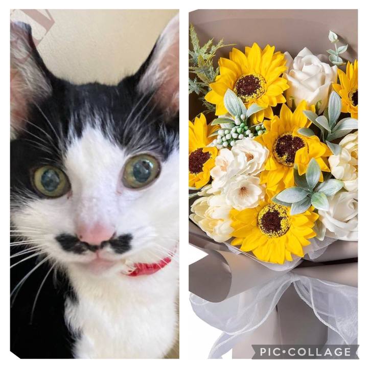 7fc193b0 3e20 4790 a152 36b304c48c1e 1756469975298