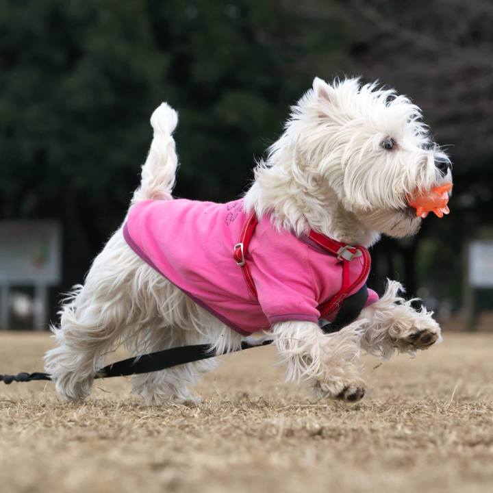 7fc1b5bc 0f05 4747 8369 e3aefa414e55 1517836683734