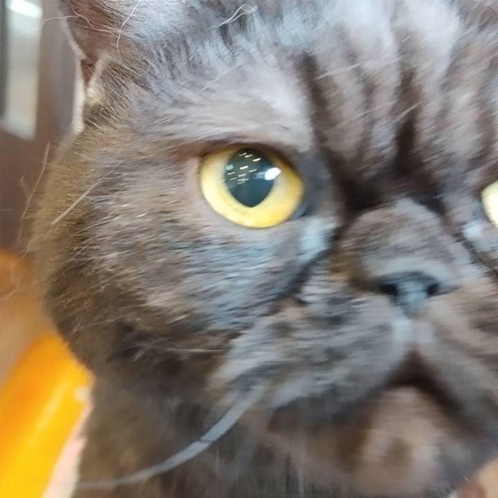 7fc1b8ac 5a57 4fb3 8353 a3e36e183c1d 1614992589114