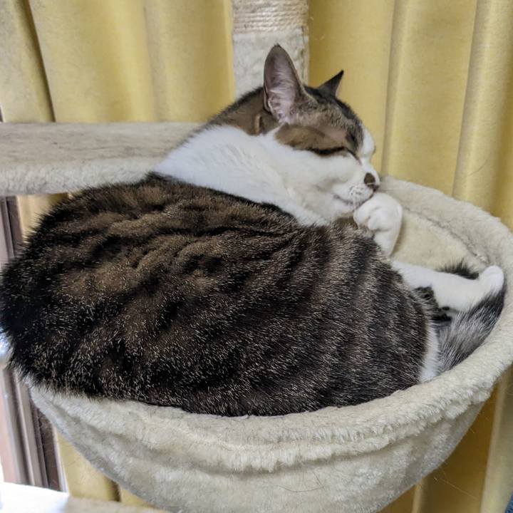 7fc1e9f0 3bb4 4cf8 a12a 8df0b0a0e0a1 1681265088672