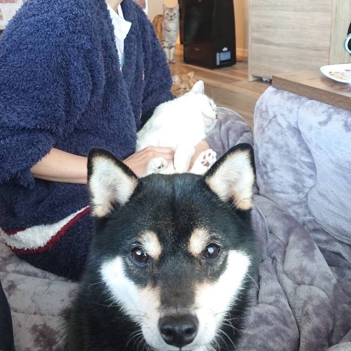 7fc1ec70 eb30 423b b51c 0d8e08fe573c 1672654760354