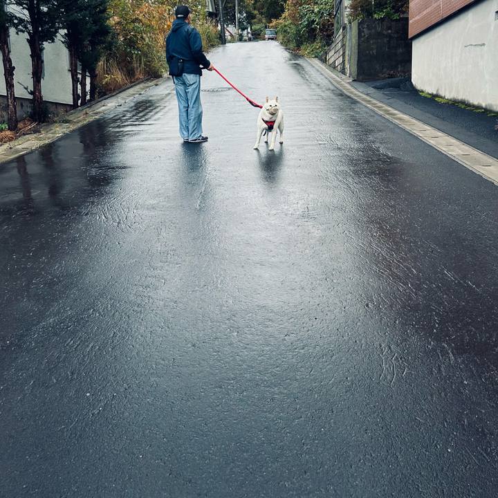 7fc1f296 7768 484f a55a 851c42b0000a 1760650931168