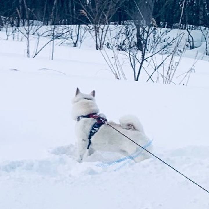 7fc1f392 315d 4b99 8208 6fd6bed7ccfd 1612787404760