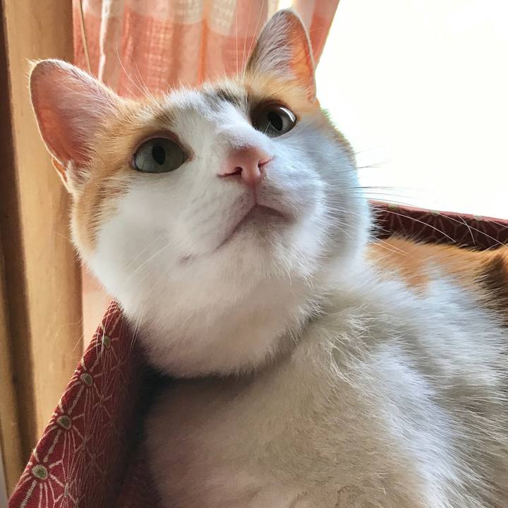 7fc229f7 fc23 49b9 aae4 93b86929eb3f 1528602024185