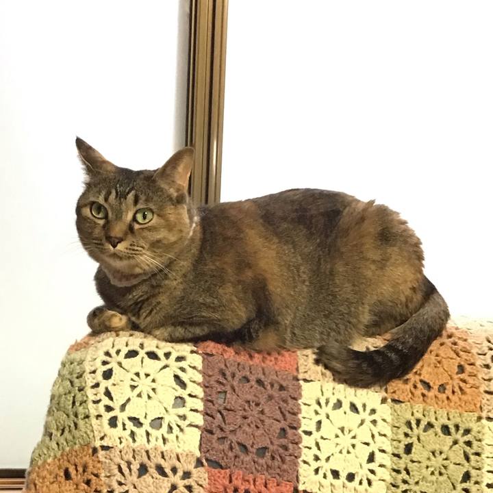 7fc28f42 b700 455a a453 44b1540efcbe 1718017336547