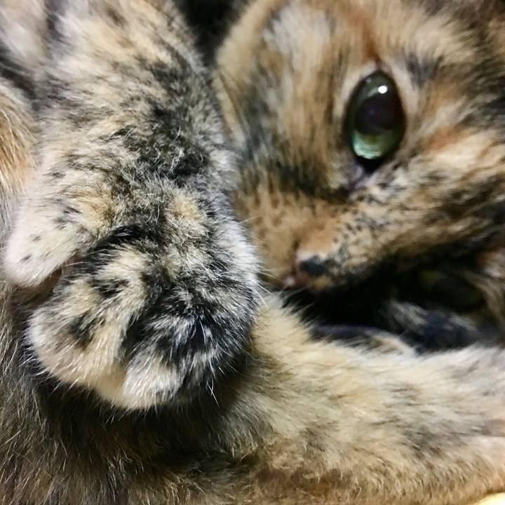 7fc291be 9d5f 49d2 93c0 19f09735e8e5 1546783511633