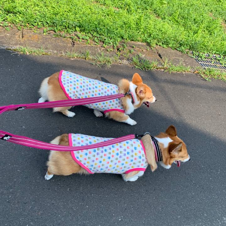 7fc2c079 a514 4a53 ade3 ee60dabe41f8 1564530077446