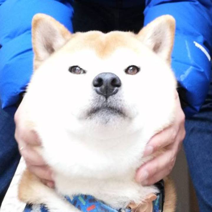 7fc2f2d7 5446 4de8 81e1 af3a4f9da245 1577600034317