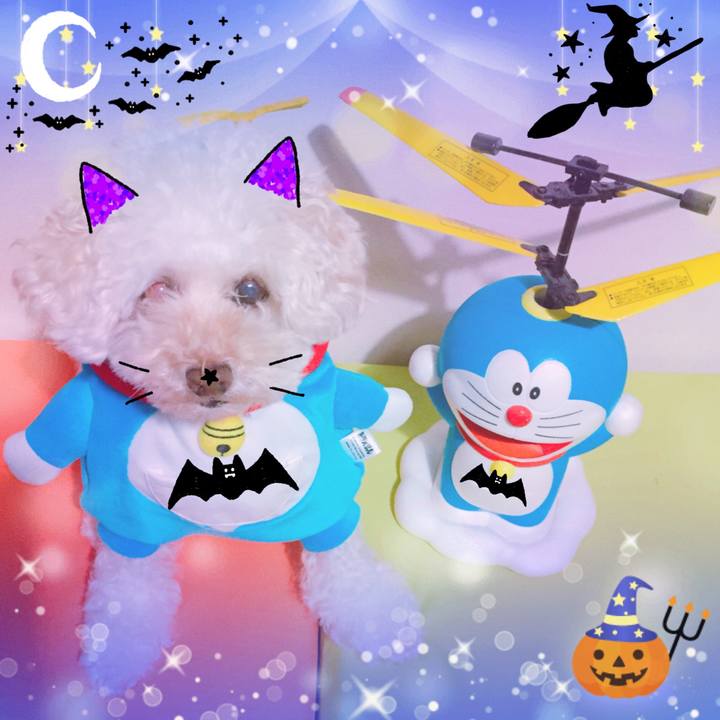 7fc31f59 642f 46aa 929b 9fa280ac7d37 1509440220423