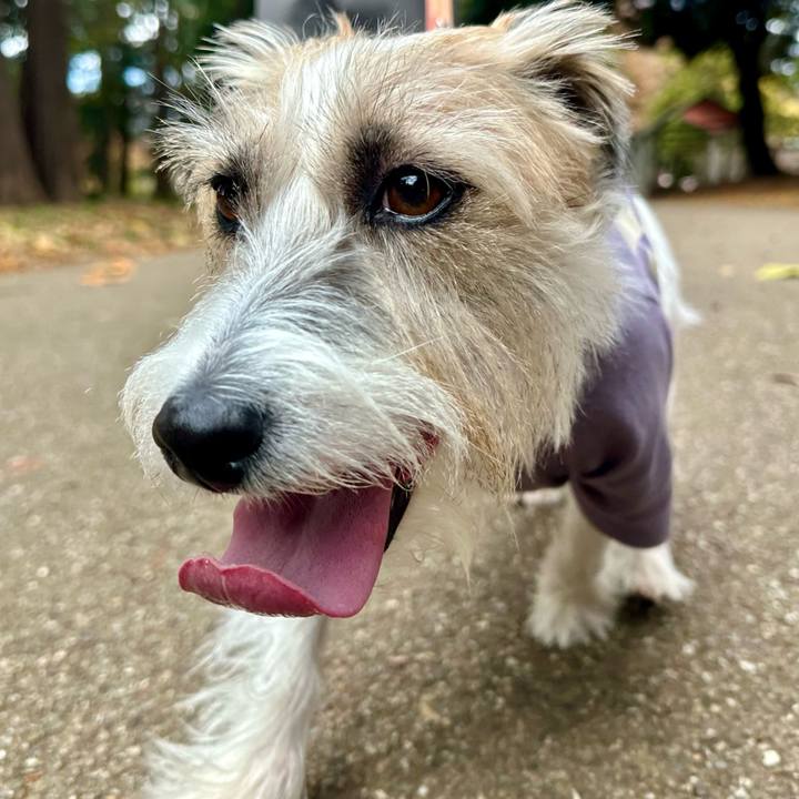 7fc32c50 adf1 41a7 89e2 7ff54651264c 1700916432784