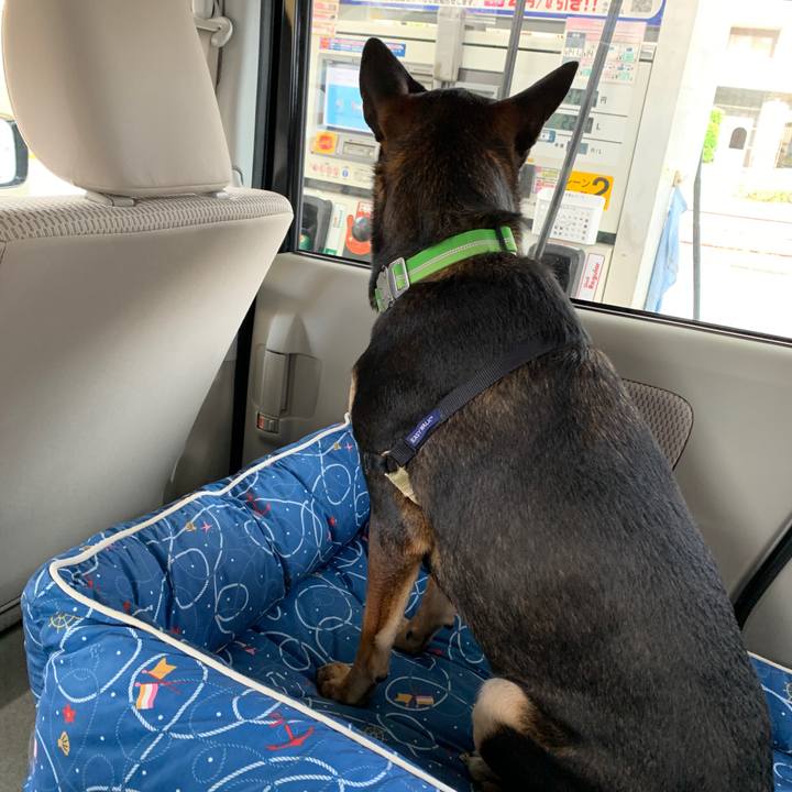 7fc32cb9 2991 407a 9e09 ee3a69fd6c69 1571528626144