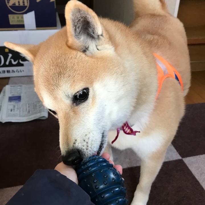 7fc33627 add6 494e a2f3 55a1e5e0bdec 1520599813666