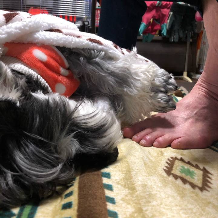 7fc3901c c558 4cac ac14 381db8ed3c53 1671460821957