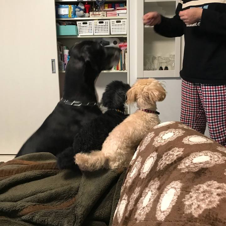 7fc39327 7d35 4658 86ae 185f45852a59 1513469148786