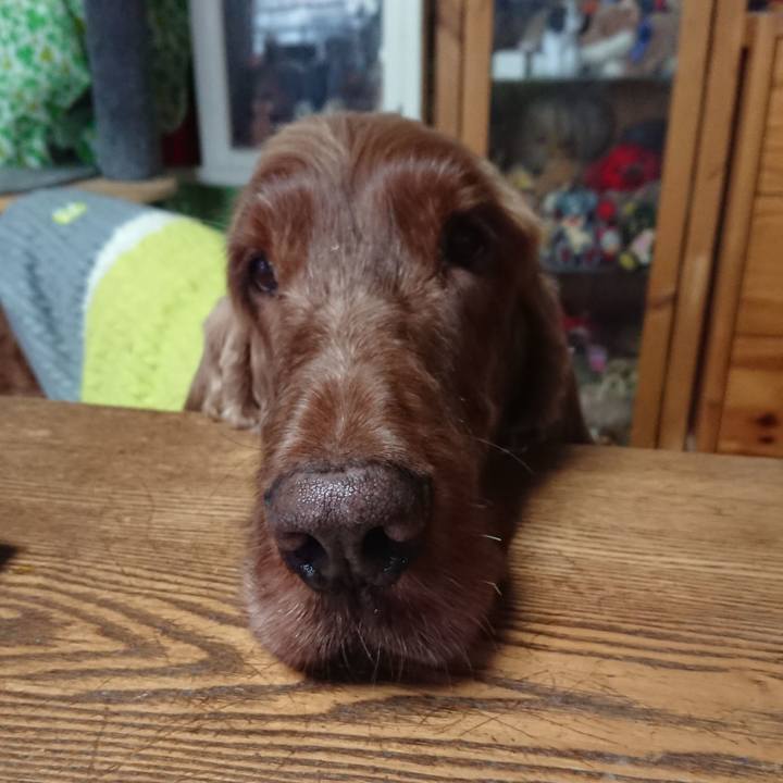 7fc39b6f c9be 4ba7 9913 0f72ef4749eb 1550228981110