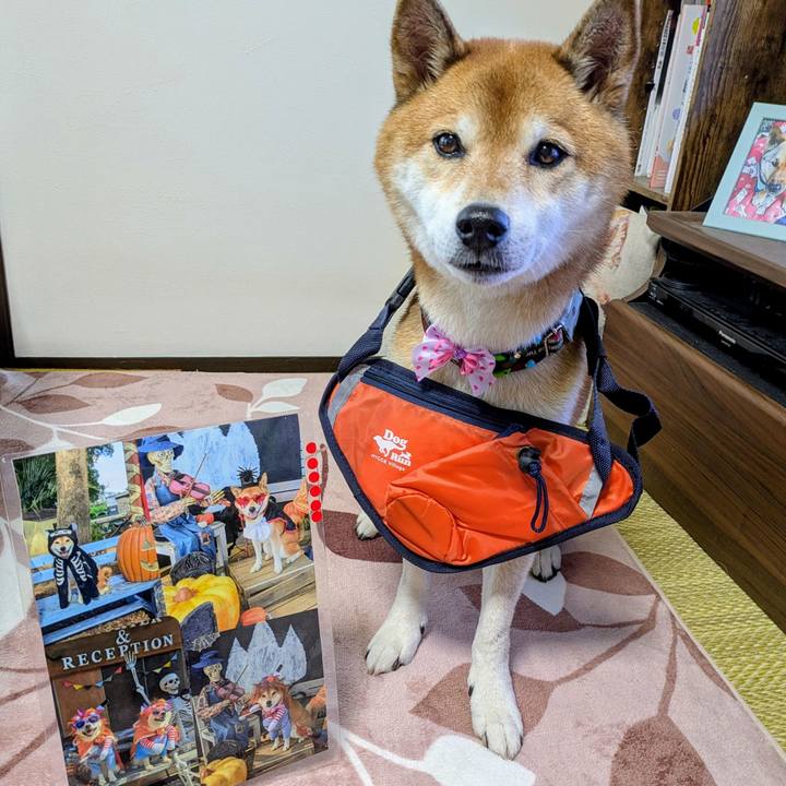 7fc3aadb adcd 427b a13b 94f1b763a1a1 1762588382845