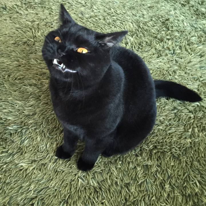 7fc3dbd1 e24c 4cc4 98c4 16ee7df79ca3 1512197370375